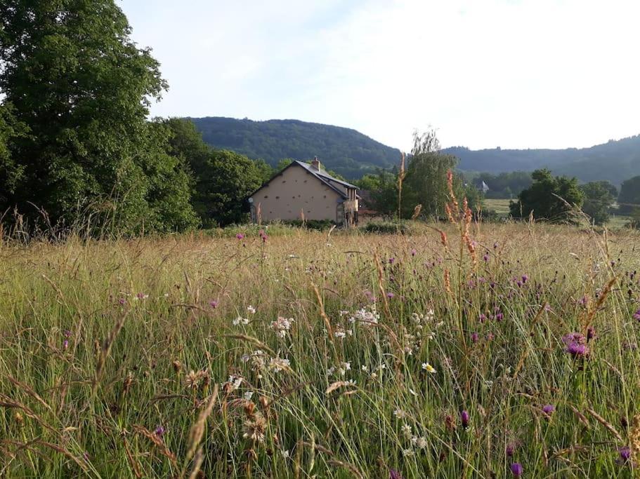 Le Studio Du Crot Noir Cussy-en-Morvan Exterior photo